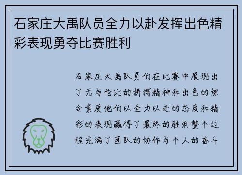 石家庄大禹队员全力以赴发挥出色精彩表现勇夺比赛胜利